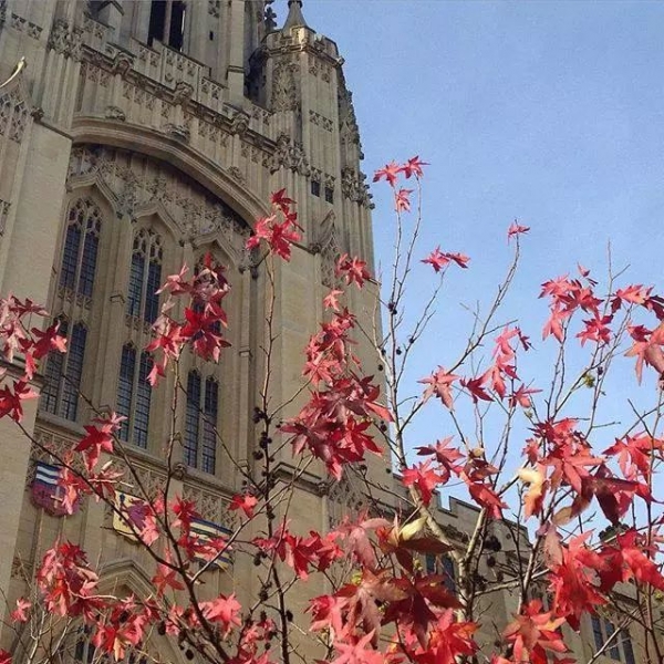 布里斯托大学